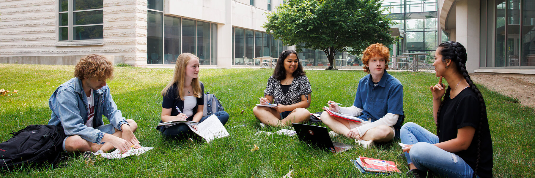 A group of students studying on the grass.